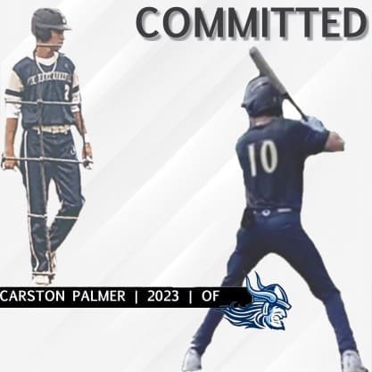 Palmer